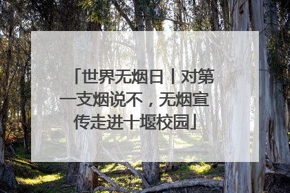 世界无烟日丨对第一支烟说不，无烟宣传走进十堰校园