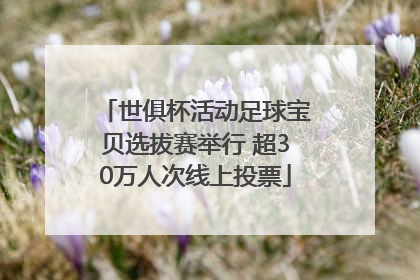 世俱杯活动足球宝贝选拔赛举行 超30万人次线上投票