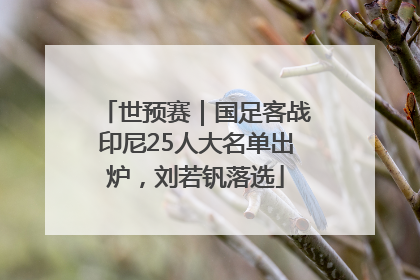 世预赛｜国足客战印尼25人大名单出炉，刘若钒落选