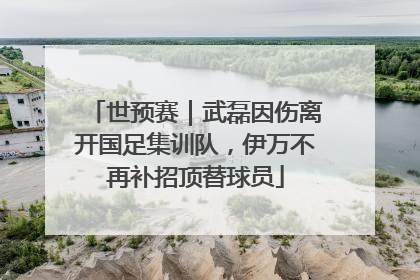 世预赛｜武磊因伤离开国足集训队，伊万不再补招顶替球员