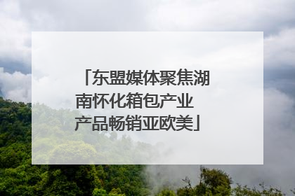 东盟媒体聚焦湖南怀化箱包产业 产品畅销亚欧美