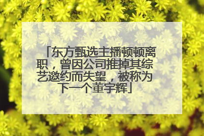 东方甄选主播顿顿离职，曾因公司推掉其综艺邀约而失望，被称为下一个董宇辉