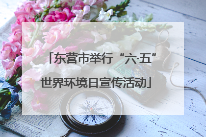 东营市举行“六·五”世界环境日宣传活动