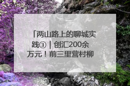 两山路上的聊城实践③｜创汇200余万元！前三里营村柳篱笆畅销西班牙