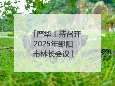 严华主持召开2025年邵阳市林长会议