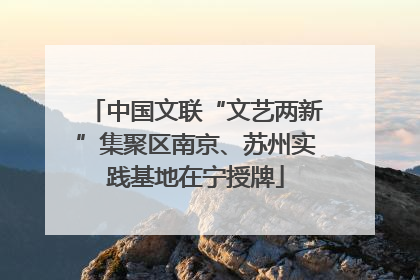 中国文联“文艺两新”集聚区南京、苏州实践基地在宁授牌
