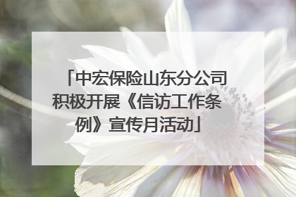 中宏保险山东分公司积极开展《信访工作条例》宣传月活动