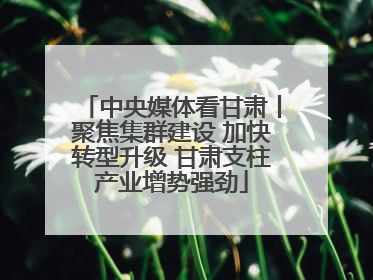 中央媒体看甘肃丨聚焦集群建设 加快转型升级 甘肃支柱产业增势强劲