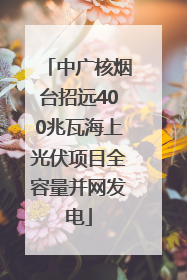 中广核烟台招远400兆瓦海上光伏项目全容量并网发电