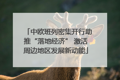中欧班列密集开行助推“落地经济” 激活周边地区发展新动能
