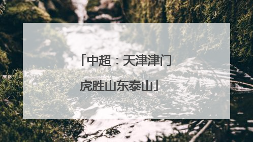 中超：天津津门虎胜山东泰山