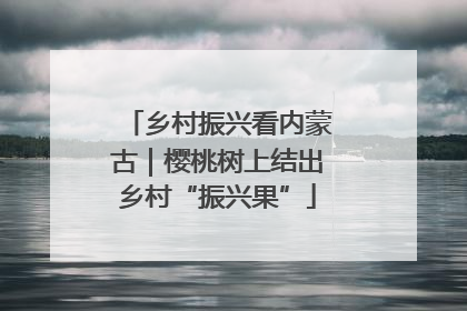 乡村振兴看内蒙古｜樱桃树上结出乡村“振兴果”