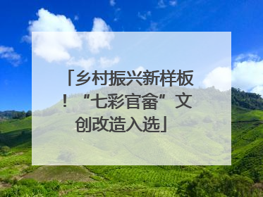 乡村振兴新样板！“七彩官畲”文创改造入选