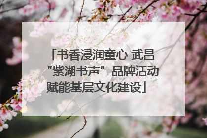 书香浸润童心 武昌“紫湖书声”品牌活动赋能基层文化建设