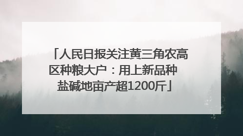 人民日报关注黄三角农高区种粮大户：用上新品种 盐碱地亩产超1200斤