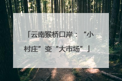 云南猴桥口岸：“小村庄”变“大市场”