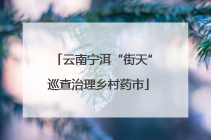 云南宁洱“街天”巡查治理乡村药市