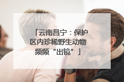 云南昌宁：保护区内珍稀野生动物频频“出镜”