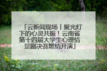 云新闻现场丨聚光灯下的心灵共振！云南省第十四届大学生心理情景剧决赛燃情开演