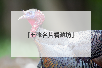 五张名片看潍坊