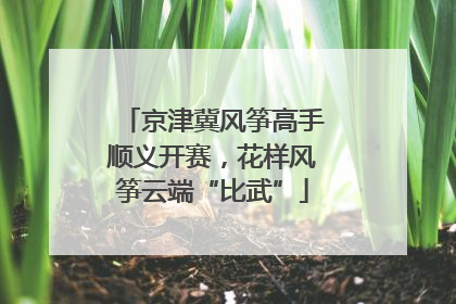京津冀风筝高手顺义开赛，花样风筝云端“比武”