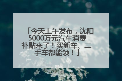 今天上午发布，沈阳5000万元汽车消费补贴来了！买新车、二手车都能领！