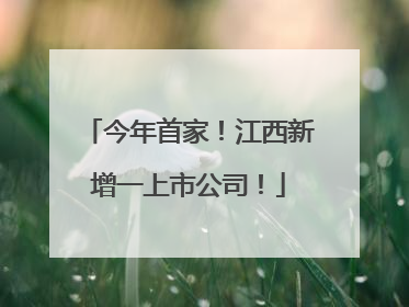 今年首家！江西新增一上市公司！