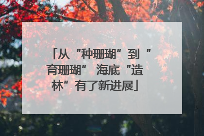 从“种珊瑚”到“育珊瑚” 海底“造林”有了新进展