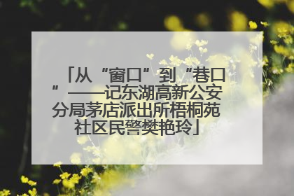 从“窗口”到“巷口”——记东湖高新公安分局茅店派出所梧桐苑社区民警樊艳玲