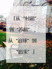 从“村超”到“苏超”，从“追球”到“追求”