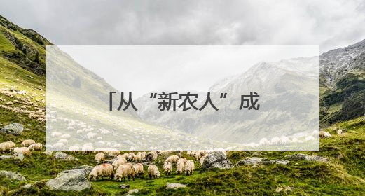 从“新农人”成“兴农人”，“90后”返乡走出致富“振兴路”