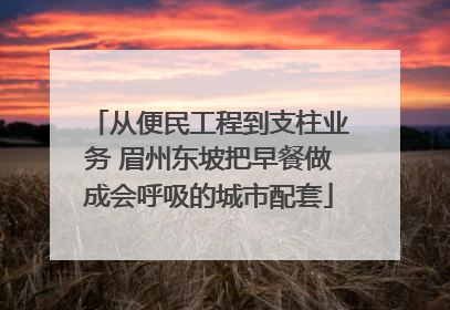 从便民工程到支柱业务 眉州东坡把早餐做成会呼吸的城市配套