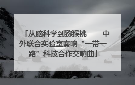 从脑科学到猕猴桃——中外联合实验室奏响“一带一路”科技合作交响曲