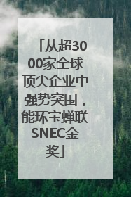 从超3000家全球顶尖企业中强势突围，能环宝蝉联SNEC金奖
