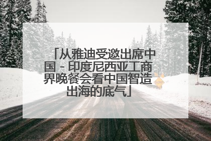 从雅迪受邀出席中国－印度尼西亚工商界晚餐会看中国智造出海的底气