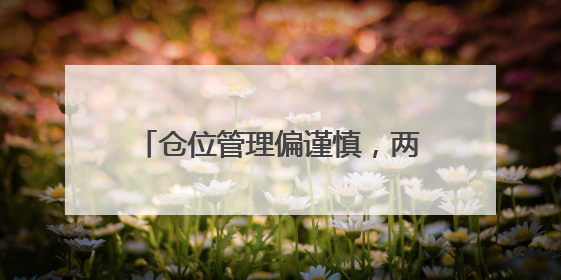 仓位管理偏谨慎，两大领域获投资者看好