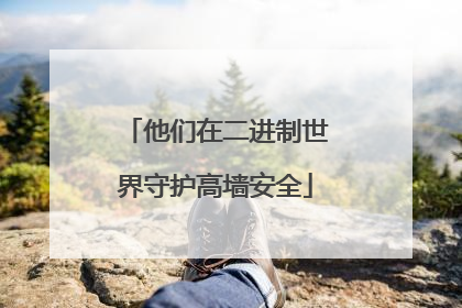 他们在二进制世界守护高墙安全