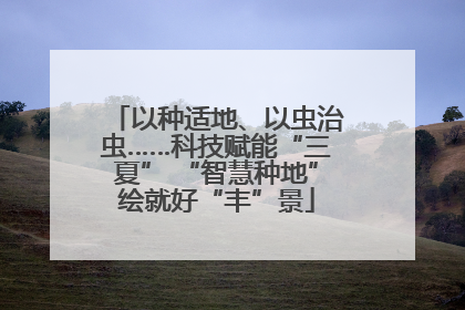 以种适地、以虫治虫……科技赋能“三夏” “智慧种地”绘就好“丰”景
