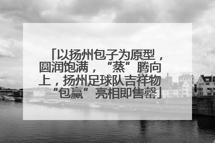 以扬州包子为原型，圆润饱满，“蒸”腾向上，扬州足球队吉祥物“包赢”亮相即售罄