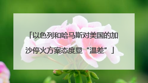 以色列和哈马斯对美国的加沙停火方案态度显“温差”