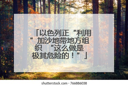 以色列正“利用”加沙地带地方组织  “这么做是极其危险的！”