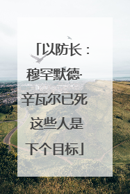 以防长：穆罕默德·辛瓦尔已死 这些人是下个目标