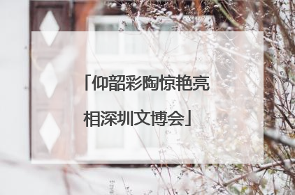 仰韶彩陶惊艳亮相深圳文博会