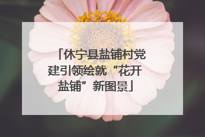 休宁县盐铺村党建引领绘就“花开盐铺”新图景