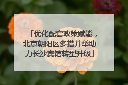 优化配套政策赋能，北京朝阳区多措并举助力长沙宾馆转型升级