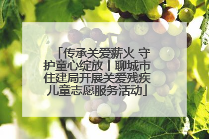 传承关爱薪火 守护童心绽放丨聊城市住建局开展关爱残疾儿童志愿服务活动