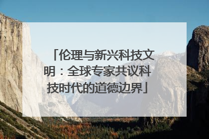伦理与新兴科技文明：全球专家共议科技时代的道德边界