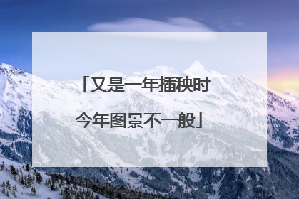 又是一年插秧时 今年图景不一般