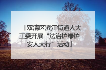 双清区滨江街道人大工委开展“法治护绿护安人大行”活动