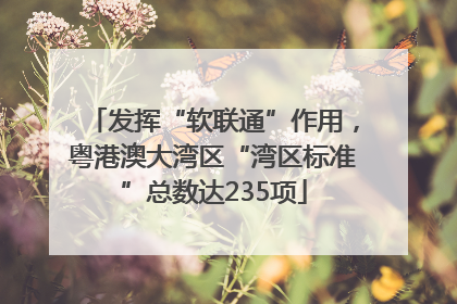 发挥“软联通”作用，粤港澳大湾区“湾区标准”总数达235项